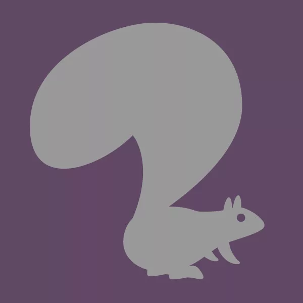 Font Squirrel 官方社交图（转正作封面）